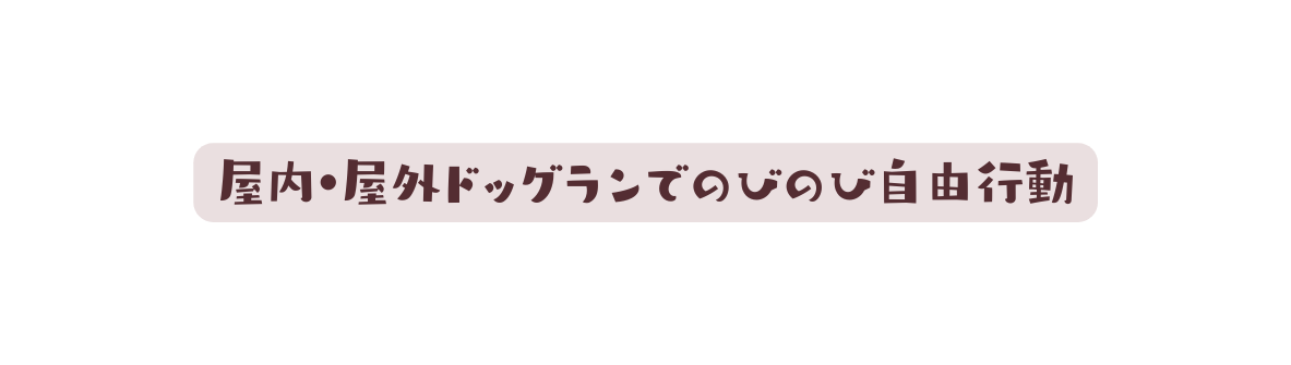 屋内 屋外ドッグランでのびのび自由行動