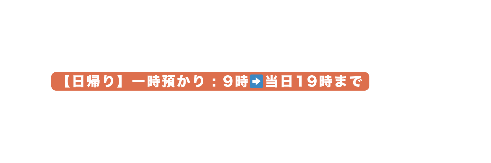 日帰り 一時預かり 9時 当日19時まで