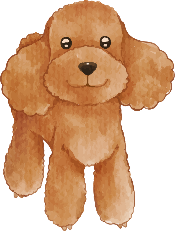 Watercolor of cute Poodle dog character